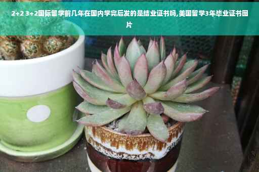 2+2 3+2国际留学前几年在国内学完后发的是结业证书吗,美国留学3年毕业证书图片