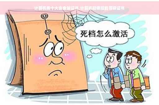 计算机类十大含金量证书,计算机初级技能等级证书
