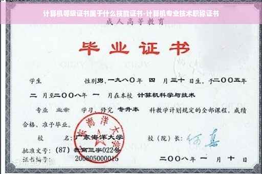 计算机等级证书属于什么技能证书-计算机专业技术职称证书