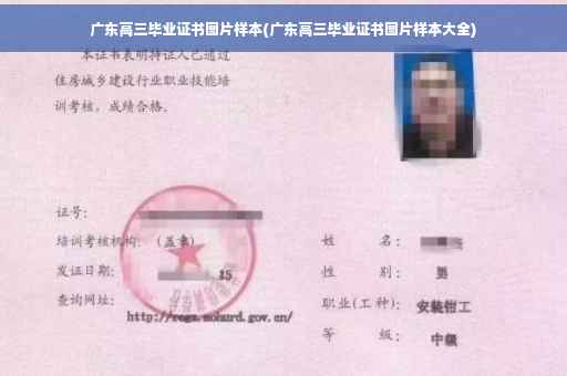 广东高三毕业证书图片样本(广东高三毕业证书图片样本大全)
