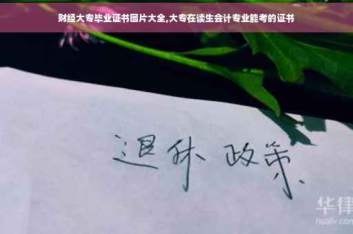 财经大专毕业证书图片大全,大专在读生会计专业能考的证书