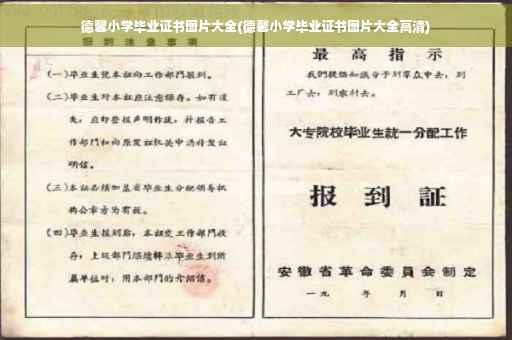 德馨小学毕业证书图片大全(德馨小学毕业证书图片大全高清)