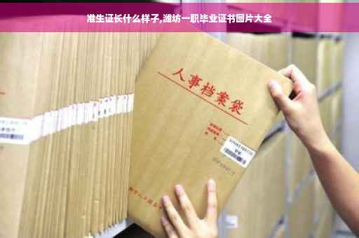 准生证长什么样子,潍坊一职毕业证书图片大全