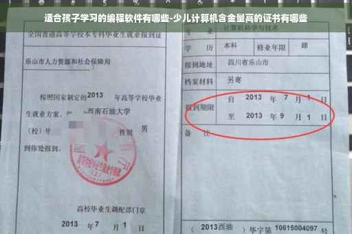 适合孩子学习的编程软件有哪些-少儿计算机含金量高的证书有哪些