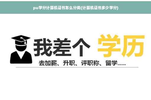 pu学分计算机证书怎么分类(计算机证书多少学分) pu学分计算机证书怎么分类(计算机证书多少学分)