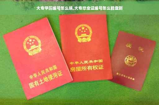 大专学历编号怎么填,大专毕业证编号怎么能查到