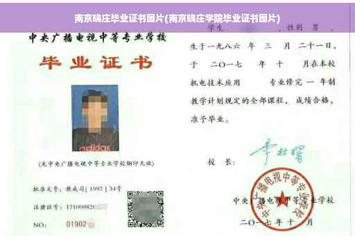 南京晓庄毕业证书图片(南京晓庄学院毕业证书图片)