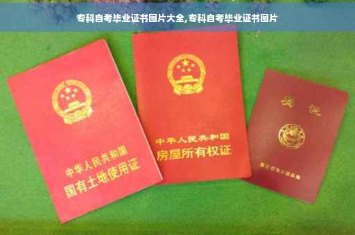 专科自考毕业证书图片大全,专科自考毕业证书图片