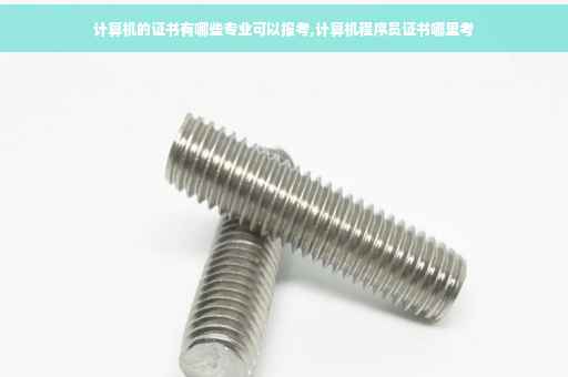 计算机的证书有哪些专业可以报考,计算机程序员证书哪里考
