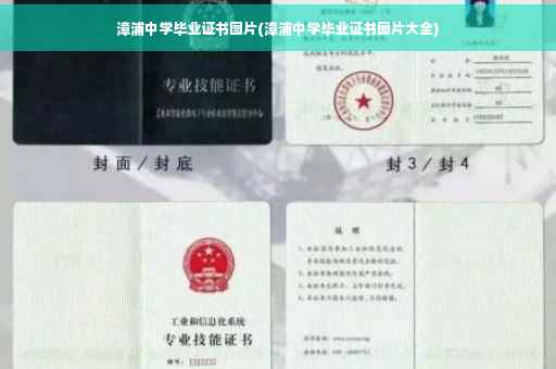 漳浦中学毕业证书图片(漳浦中学毕业证书图片大全)