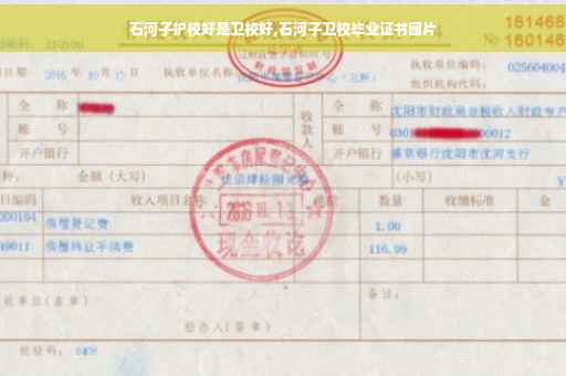 石河子护校好是卫校好,石河子卫校毕业证书图片