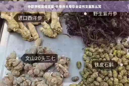 中职学校宣传文案-中专升大专毕业证书文案怎么写