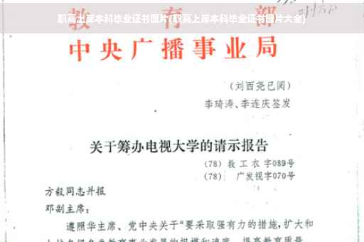 职高上岸本科毕业证书图片(职高上岸本科毕业证书图片大全)