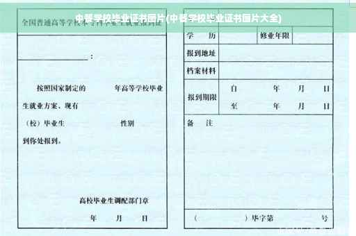 中餐学校毕业证书图片(中餐学校毕业证书图片大全)