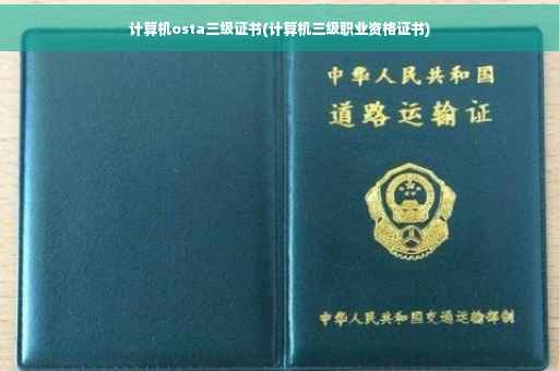 计算机osta三级证书(计算机三级职业资格证书)