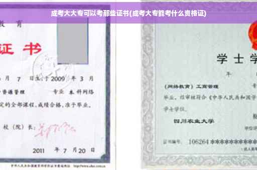 成考大大专可以考那些证书(成考大专能考什么资格证)