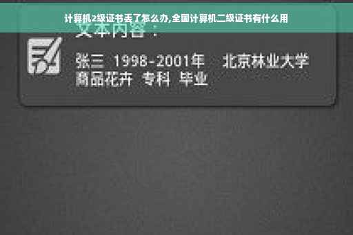 计算机2级证书丢了怎么办,全国计算机二级证书有什么用