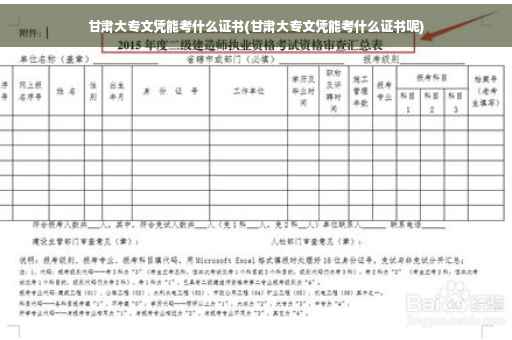 甘肃大专文凭能考什么证书(甘肃大专文凭能考什么证书呢)