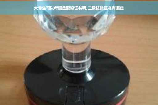 大专生可以考哪些职称证书呢,二级技能证书有哪些