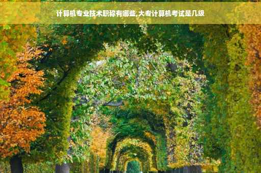 计算机专业技术职称有哪些,大专计算机考试是几级