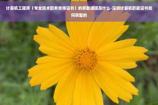 计算机工程师（专业技术职务资格证书）的获取途径是什么-深圳计算机职称证书如何获取的