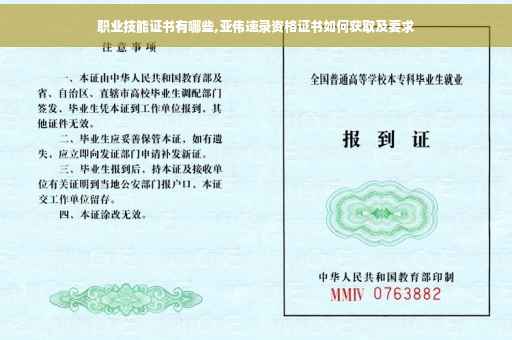 职业技能证书有哪些,亚伟速录资格证书如何获取及要求