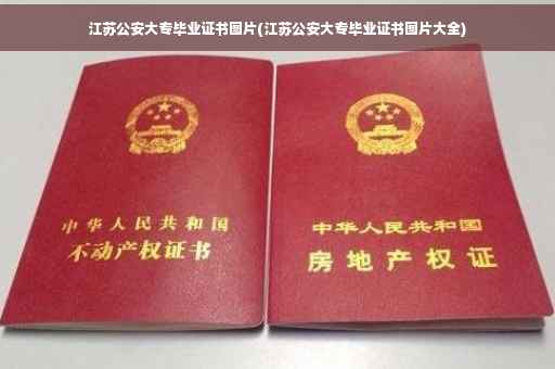 江苏公安大专毕业证书图片(江苏公安大专毕业证书图片大全)