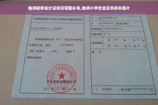 株洲初级会计证如何领取补贴,株洲小学毕业证书样本图片
