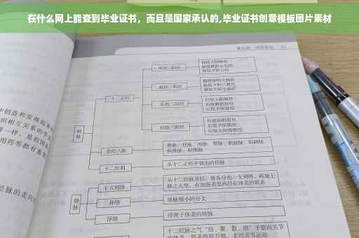 在什么网上能查到毕业证书，而且是国家承认的,毕业证书创意模板图片素材
