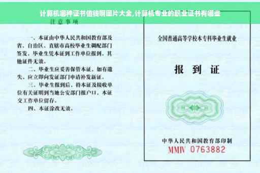 计算机哪种证书值钱啊图片大全,计算机专业的职业证书有哪些