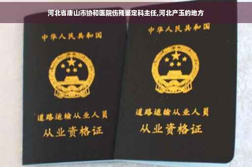 河北省唐山市协和医院伤残鉴定科主任,河北产玉的地方