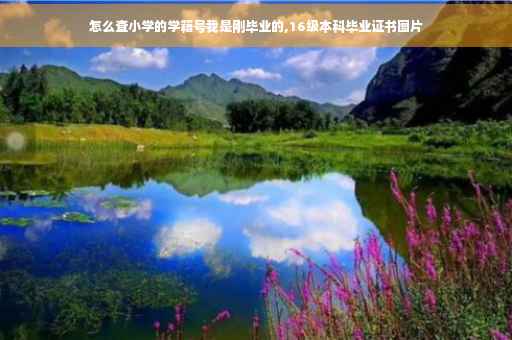 怎么查小学的学籍号我是刚毕业的,16级本科毕业证书图片