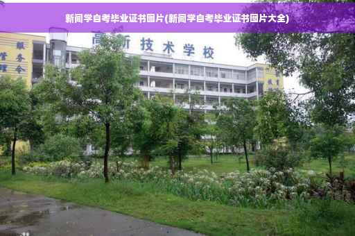 新闻学自考毕业证书图片(新闻学自考毕业证书图片大全)