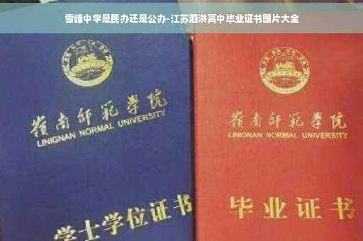 雪峰中学是民办还是公办-江苏泗洪高中毕业证书图片大全