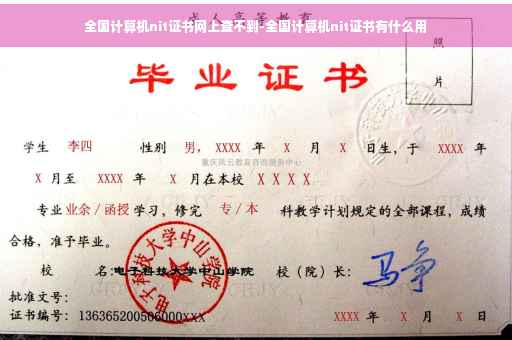 全国计算机nit证书网上查不到-全国计算机nit证书有什么用