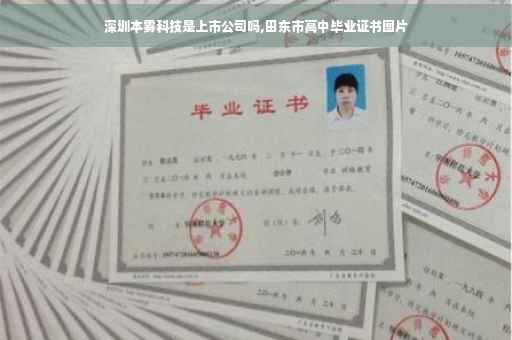 深圳本雾科技是上市公司吗,田东市高中毕业证书图片