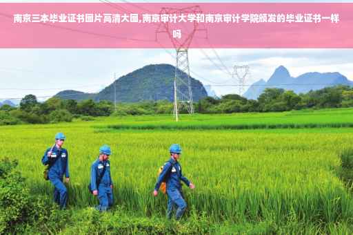 南京三本毕业证书图片高清大图,南京审计大学和南京审计学院颁发的毕业证书一样吗