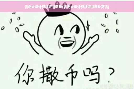 青岛大学计算机证书图片(青岛大学计算机证书图片高清)