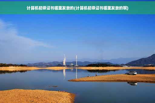 计算机初级证书哪里发放的(计算机初级证书哪里发放的啊)