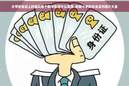 大学毕业证上的编码各个数字各是什么意思-各国小学的毕业证书图片大全