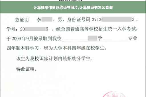 计算机操作员职称证书图片,计算机证书怎么查询