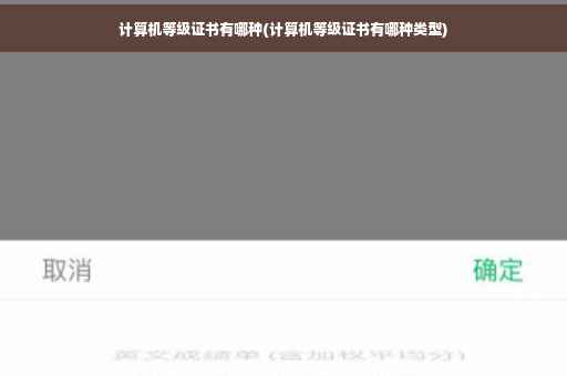 计算机等级证书有哪种(计算机等级证书有哪种类型)