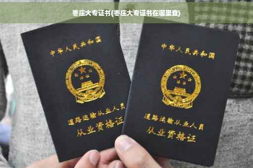 枣庄大专证书(枣庄大专证书在哪里查)