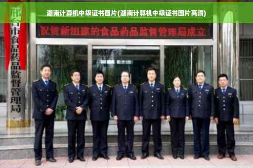 湖南计算机中级证书图片(湖南计算机中级证书图片高清)
