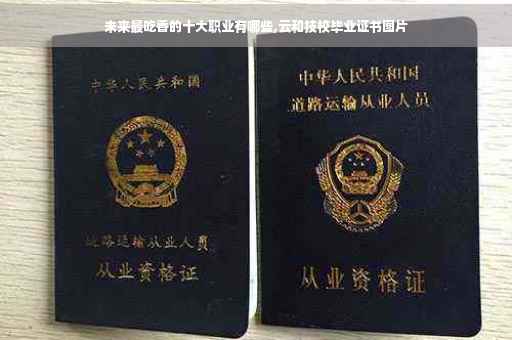 未来最吃香的十大职业有哪些,云和技校毕业证书图片
