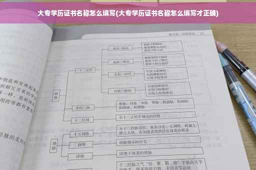 大专学历证书名称怎么填写(大专学历证书名称怎么填写才正确)