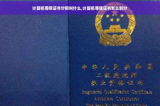 计算机等级证书分别叫什么,计算机等级证书怎么划分