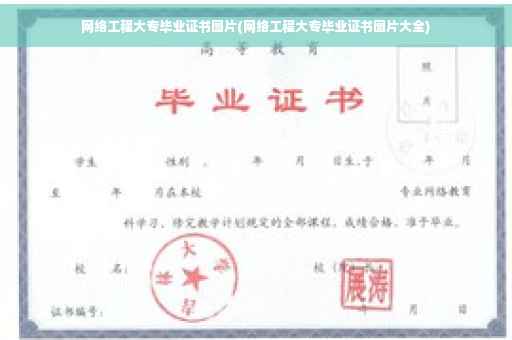 网络工程大专毕业证书图片(网络工程大专毕业证书图片大全)
