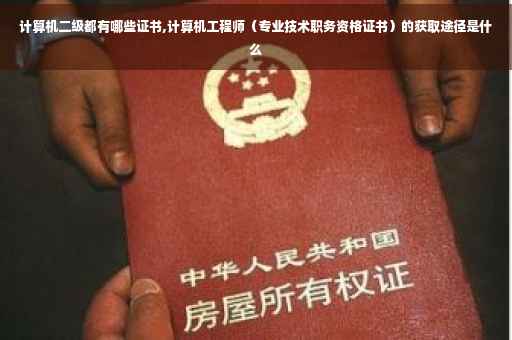计算机二级都有哪些证书,计算机工程师（专业技术职务资格证书）的获取途径是什么