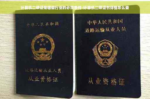 计算机二级证是哪些行业的必须条件-计算机二级证书详情怎么查